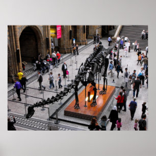 Dinosaur i naturhistoriamuseet poster
