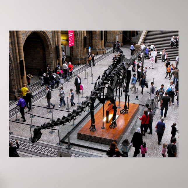Dinosaur i naturhistoriemuseet poster (Framsidan)