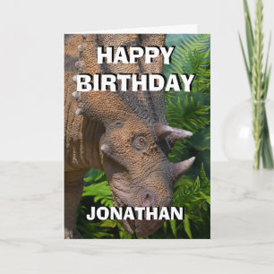 Dinosaur Jungle Card Kort