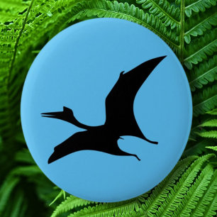 Dinosaur Jurassic Blue Knapp