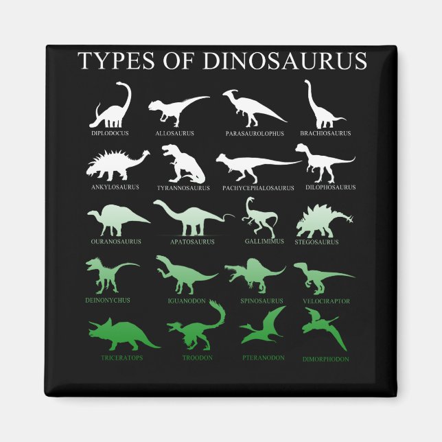 dinosaur magnet (Framsidan)