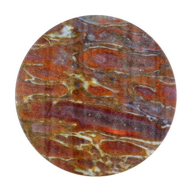 Dinosaur Petrified Bone (Framsidan)