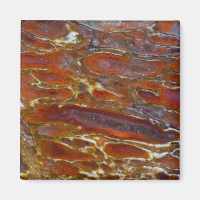 Dinosaur Petrified Bone Magnet (Framsidan)