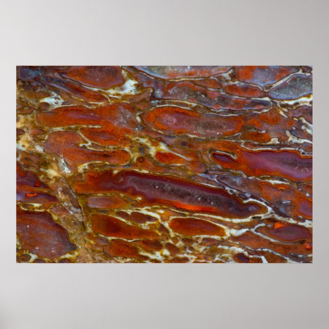 Dinosaur Petrified Bone Poster (Framsidan)