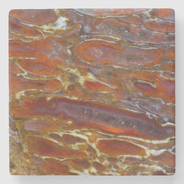 Dinosaur Petrified Bone Stenunderlägg (Framsidan)