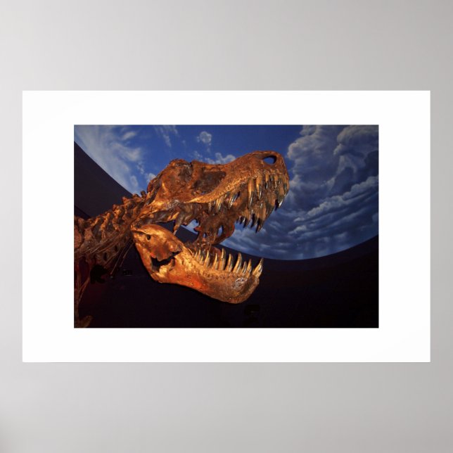Dinosaur Poster (Framsidan)