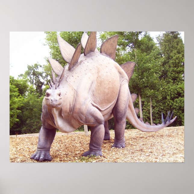 Dinosaur Poster (Framsidan)