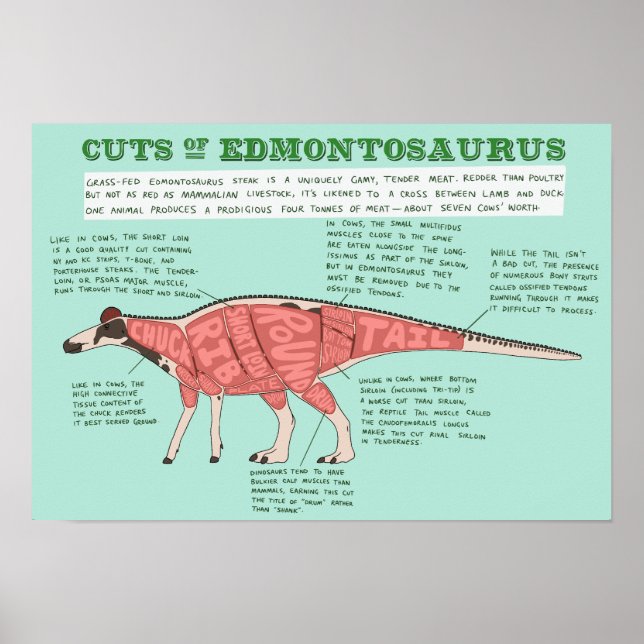 Dinosaur poster - Edmontosaurus (Framsidan)