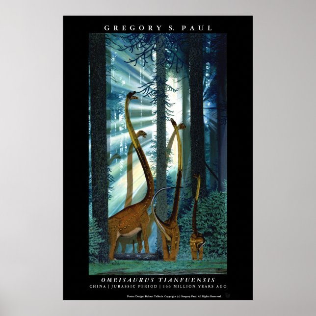 Dinosaur Poster Omeisaurus Gregory Paul (Framsidan)