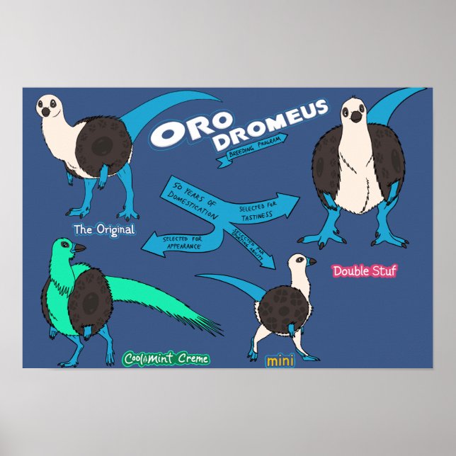 Dinosaur poster - Orodromeus (Framsidan)