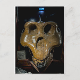 Dinosaur skalle vykort