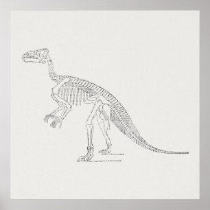Dinosaur Skeleton Art Poster
