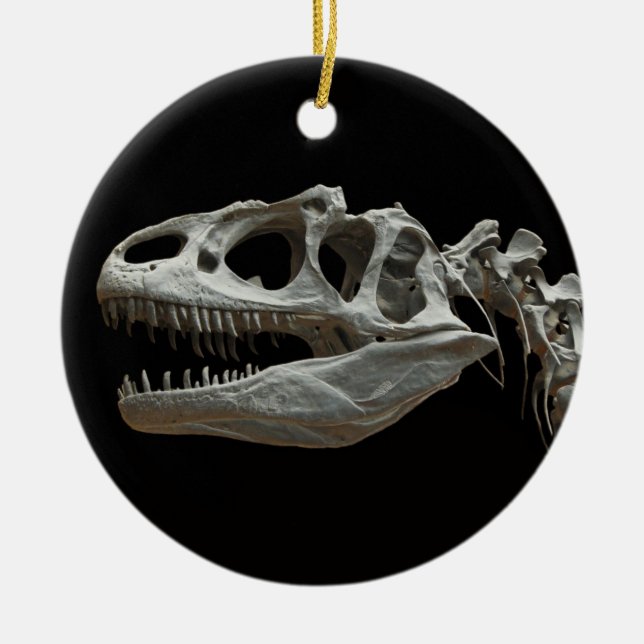Dinosaur Skeleton Ornament (Framsidan)