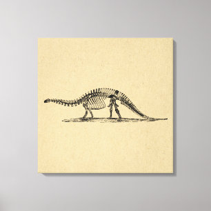Dinosaur Skeleton Vintage Art Canvastryck
