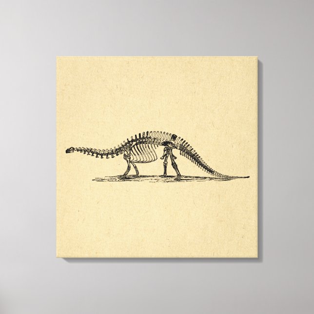 Dinosaur Skeleton Vintage Art Canvastryck (Framsida)