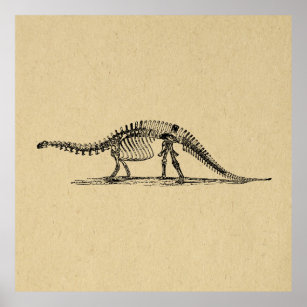 Dinosaur Skeleton Vintage Art Poster