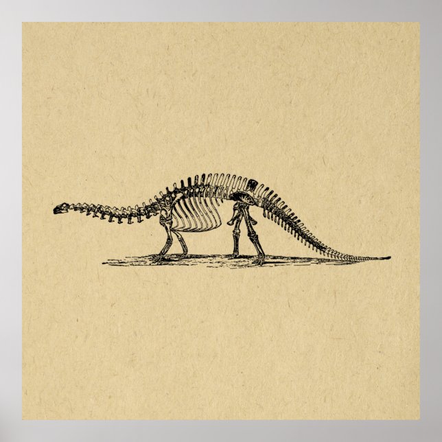 Dinosaur Skeleton Vintage Art Poster (Framsidan)