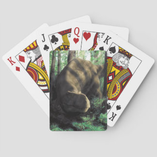 Dinosaur som leker kort casinokort