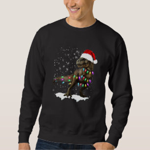 Dinosaur T Rex Träd Jultröja Xmas Husdjur Din Lång Ärmad Tröja