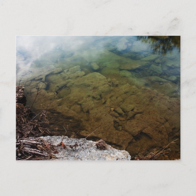 Dinosaur Tracks in Texas 3 vycard Vykort (Framsida)