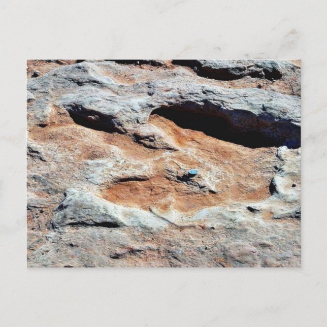 Dinosaur Tracks North of Flagstaff Vykort (Framsida)