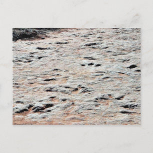 Dinosaur Tracks Vykort