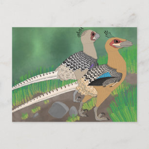 Dinosaur-vykort - Acheroraptor Vykort