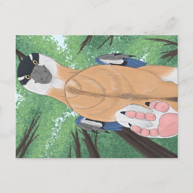 Dinosaur-vykort - Dromaeopodus Vykort (Framsida)