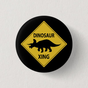 Dinosaur Xing Knapp