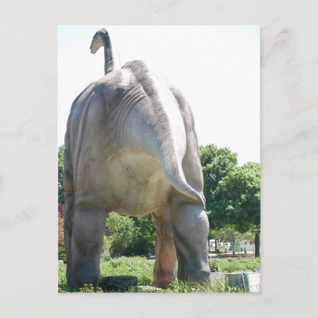 Dinosaurie Brontosaurus Vykort (Framsida)