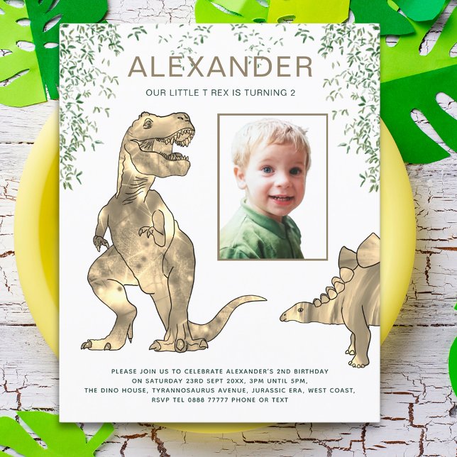 Dinosaurie Djungel Pojkar Födelsedag (Dinosaur jungle T-Rex and stegosaurus 2nd birthday party budget invitation with photo template )