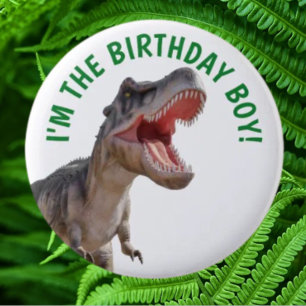 Dinosaurie Glad T Rex POJKE Knapp