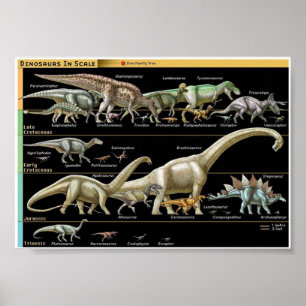 Dinosaurie Tidslinje Biologi Poster