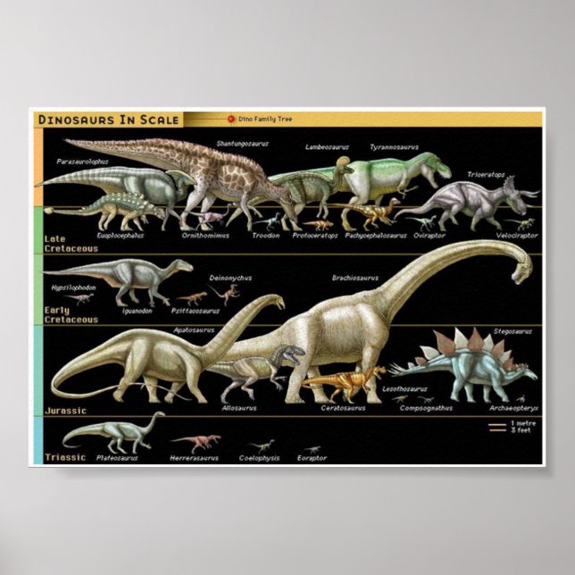 Dinosaurie Tidslinje Biologi Poster (Framsidan)