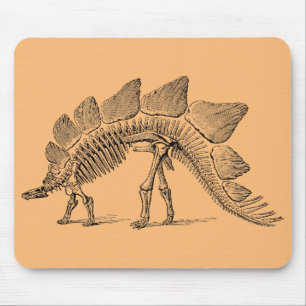 dinosaurier fossil paleontologi musmatta