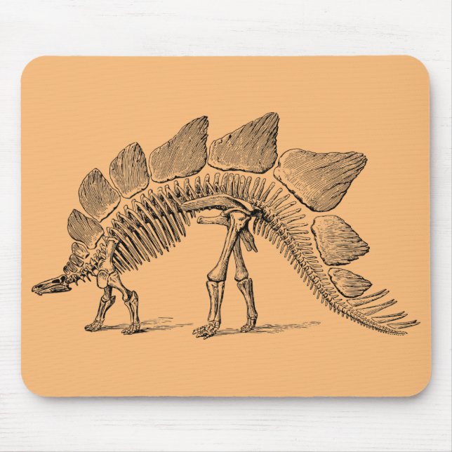 dinosaurier fossil paleontologi musmatta (Framsidan)