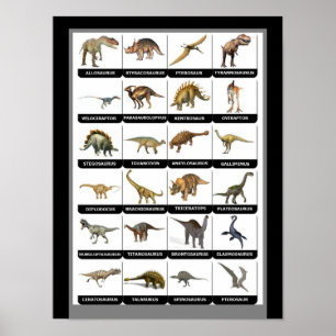 Dinosaurs-diagram Poster