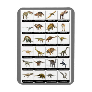 Dinosaurs-diagrammagnet Magnet