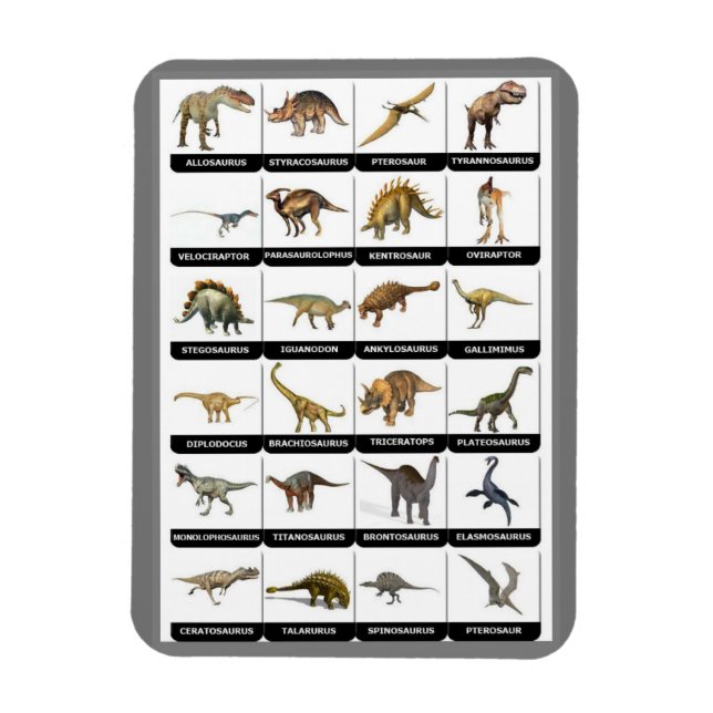 Dinosaurs-diagrammagnet Magnet (Vertikal)