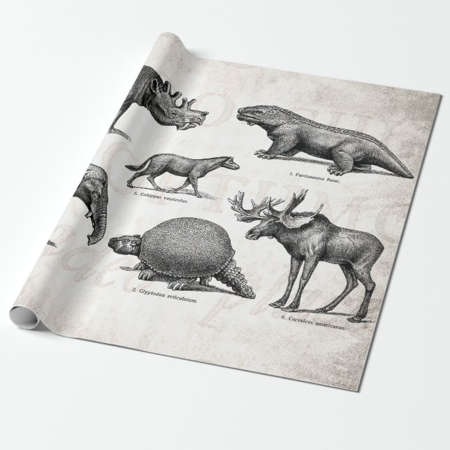 Dinosaurs för gammal illustration för presentpapper (Utrullad)