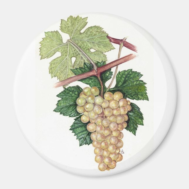 Dionysus & Rhea Collection Magnet (Framsidan)