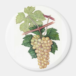 Dionysus & Rhea samling Magnet