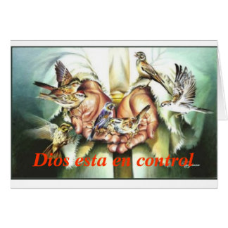 Dios estaen kontrollerar hälsningskort