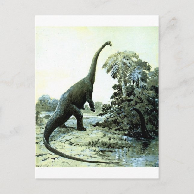 diplodocus-1 vykort (Framsida)