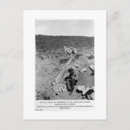 Diplodocus dinosaur gräver vykort