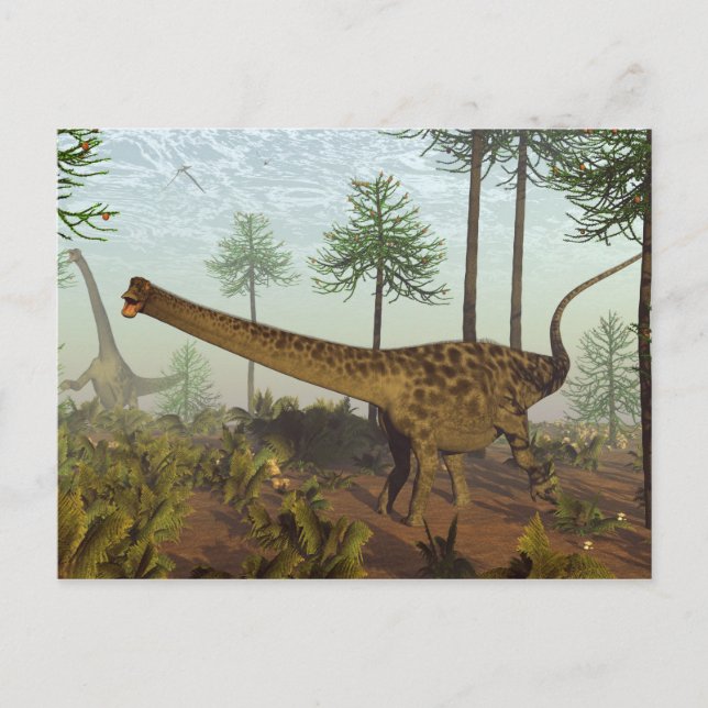 Diplodocus dinosaurs bland araucaria träd - 3D re Vykort (Framsida)