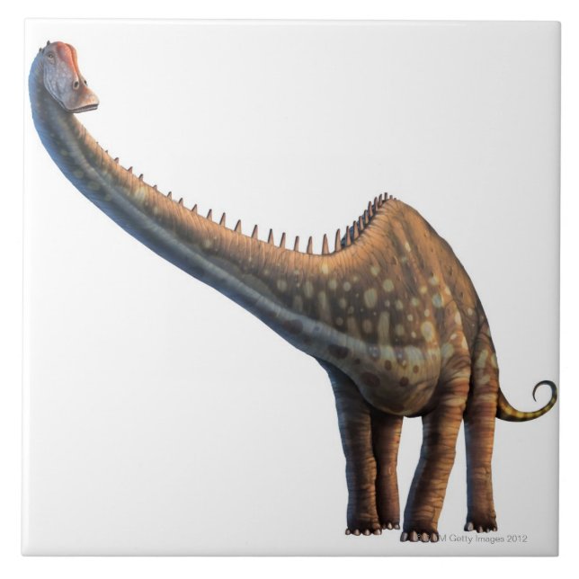 Diplodocus Kakelplatta (Framsidan)