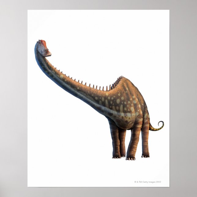 Diplodocus Poster (Framsidan)