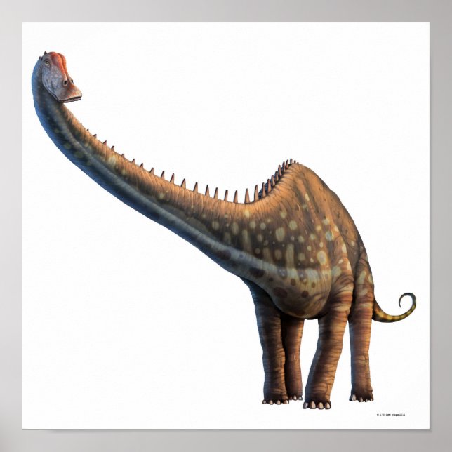 Diplodocus Poster (Framsidan)