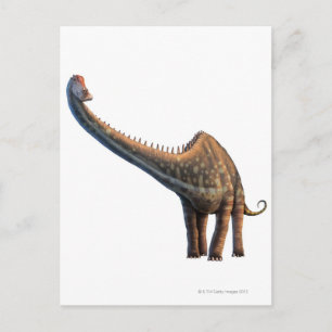 Diplodocus Vykort